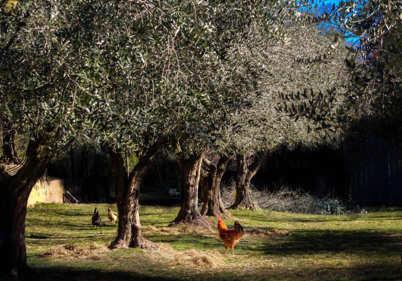 Bed & Breakfast La Gemma Sul 3*